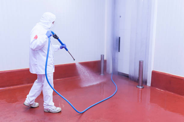 Best Roof Washing  in Friona, TX