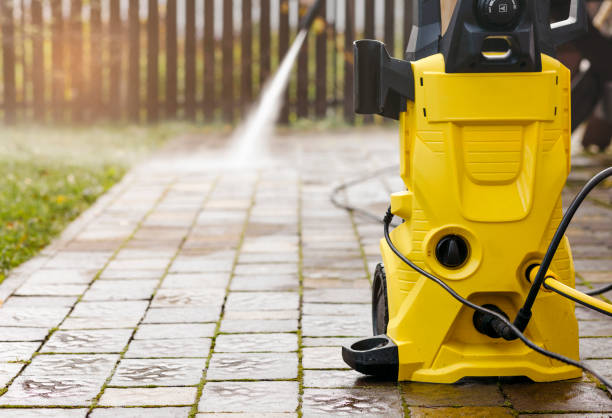 Best Animal Enclosure Cleaning  in Friona, TX